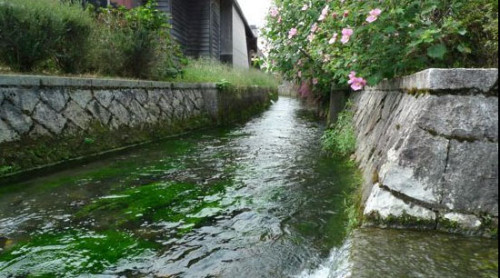 水と共生したまち滋賀県高島市（針江生水の郷）