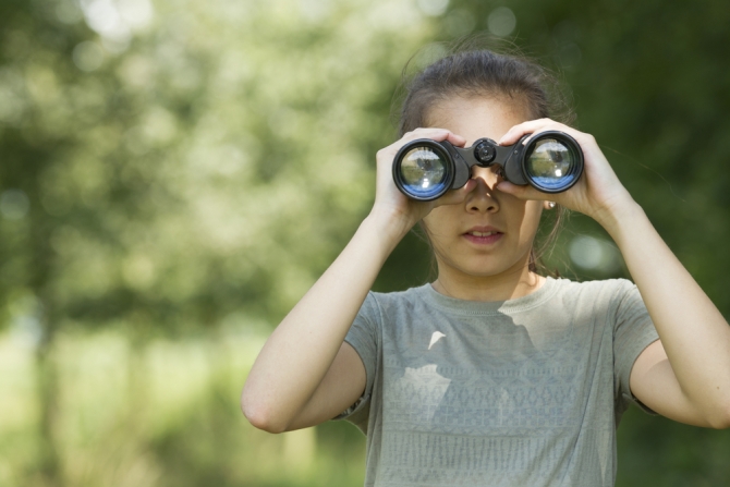 shutterstock_212431465
