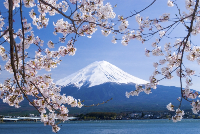 「今日から君は富士山だ!」松岡修造さんの声でガイドが聞ける富士山世界遺産センター -山梨県-