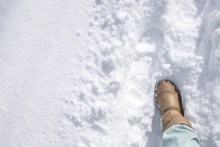 世界一の積雪記録は11メートル。日本は世界一の豪雪地帯だった