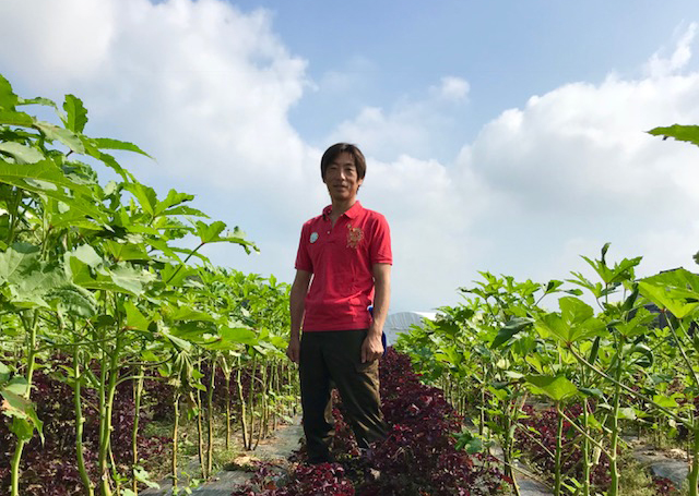 新規就農、JAに頼らずに稼ぐ。元エンジニアが地方移住で見つけた、生き残る農業-熊本県菊池市